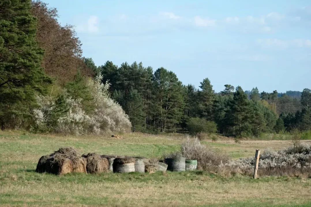 GreenField Silage 1