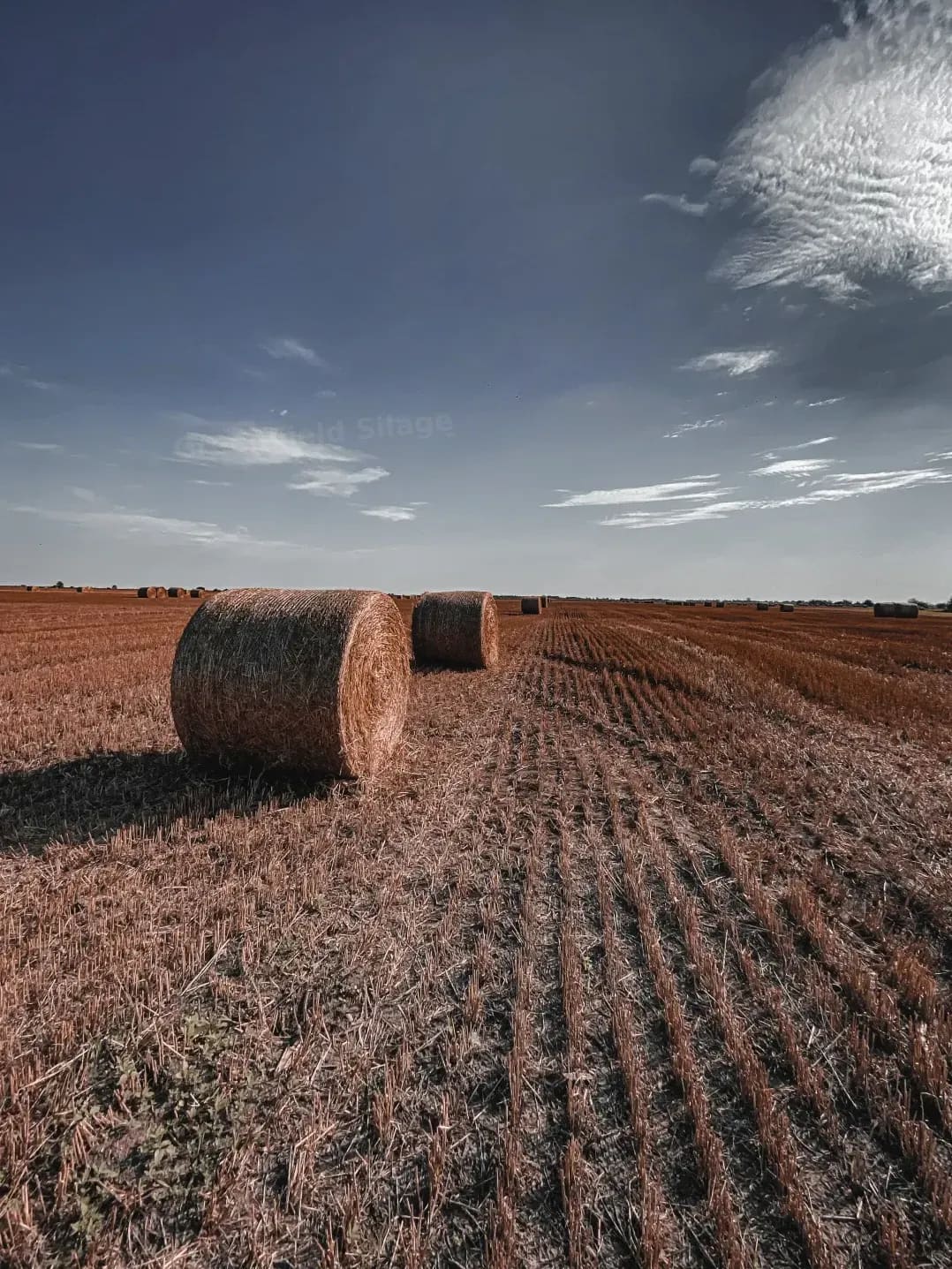 GreenField Silage 12
