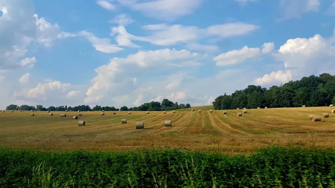 GreenField Silage 13