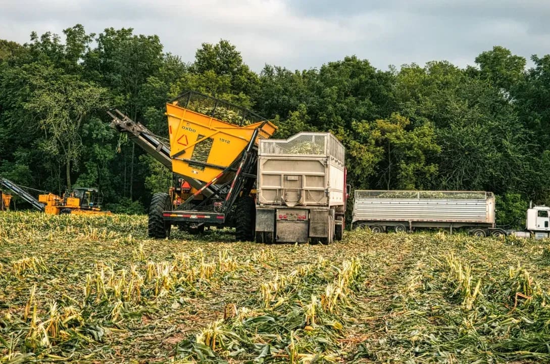 GreenField Silage 14