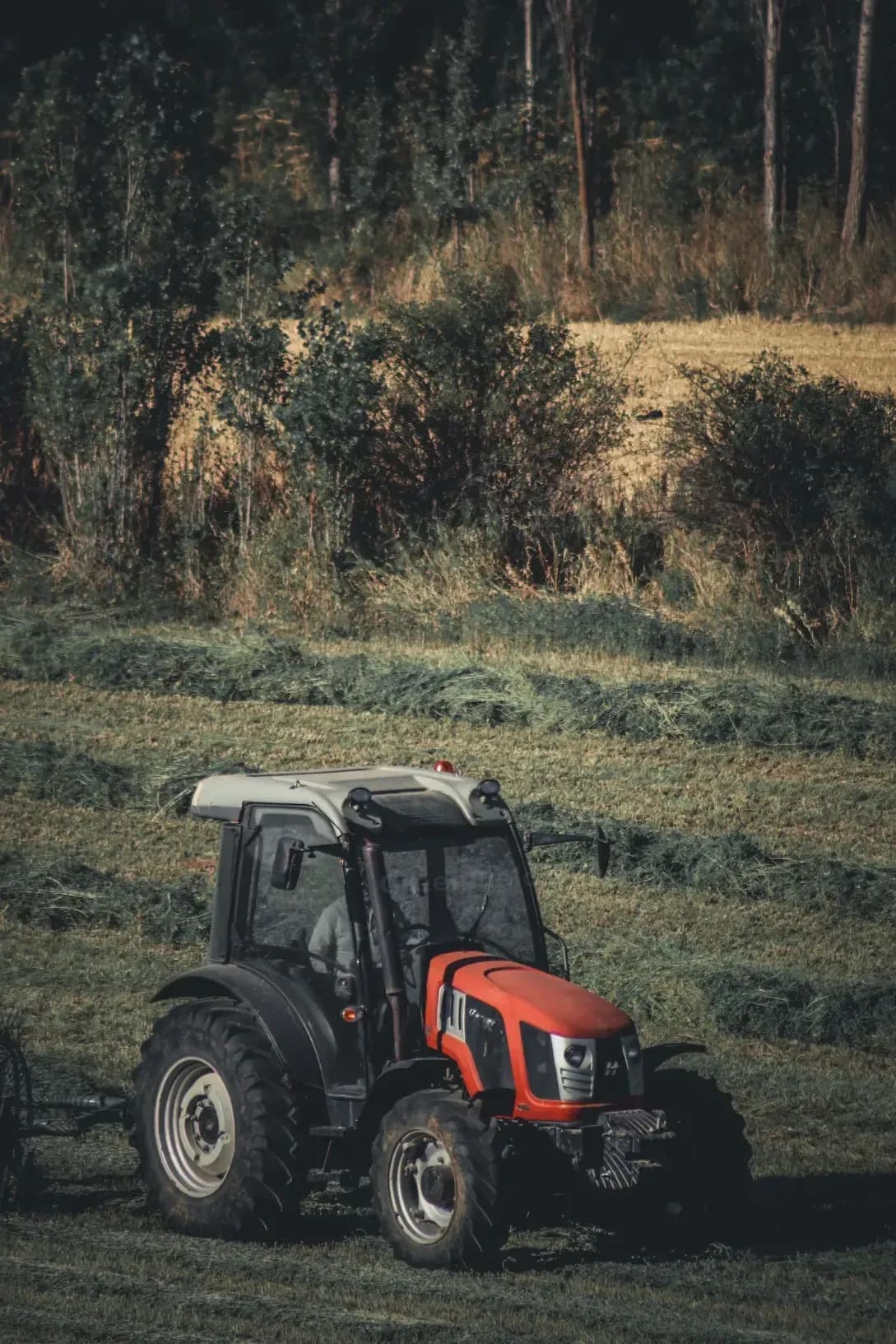 GreenField Silage 3