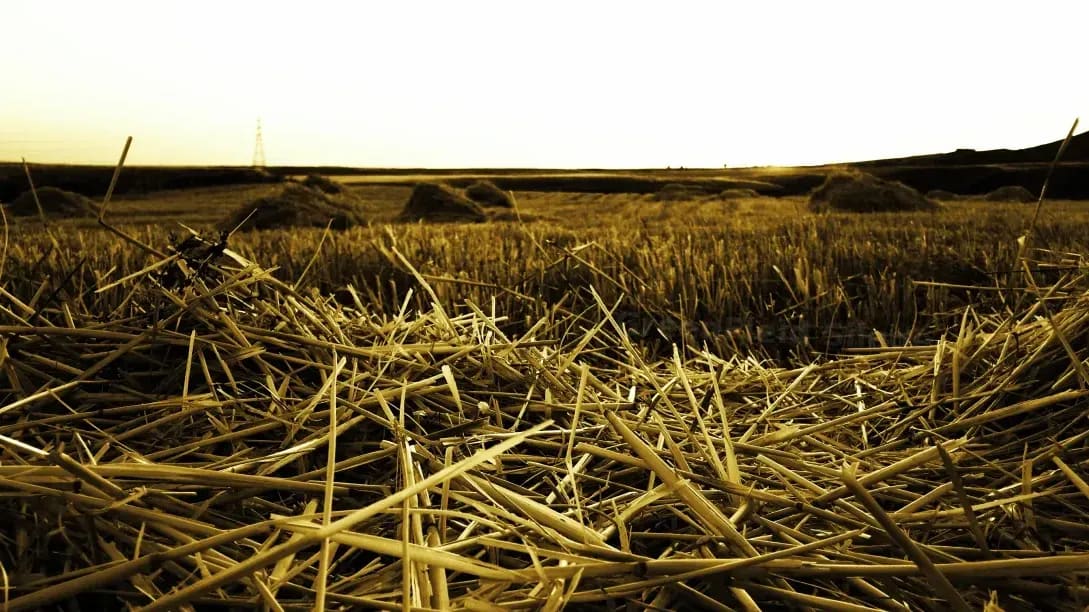GreenField Silage 4
