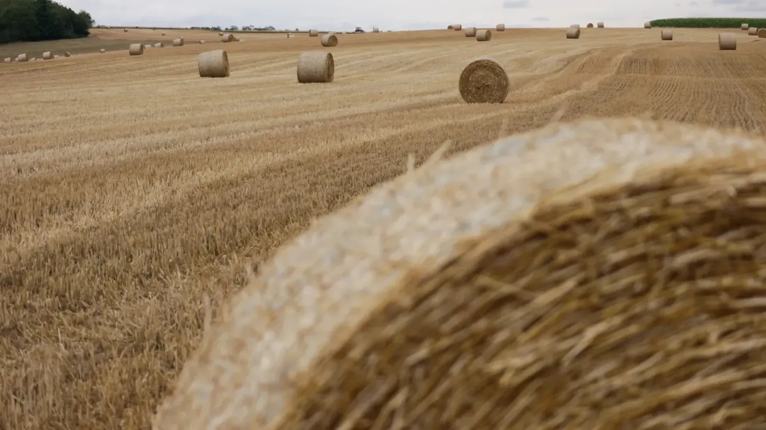 GreenField Silage